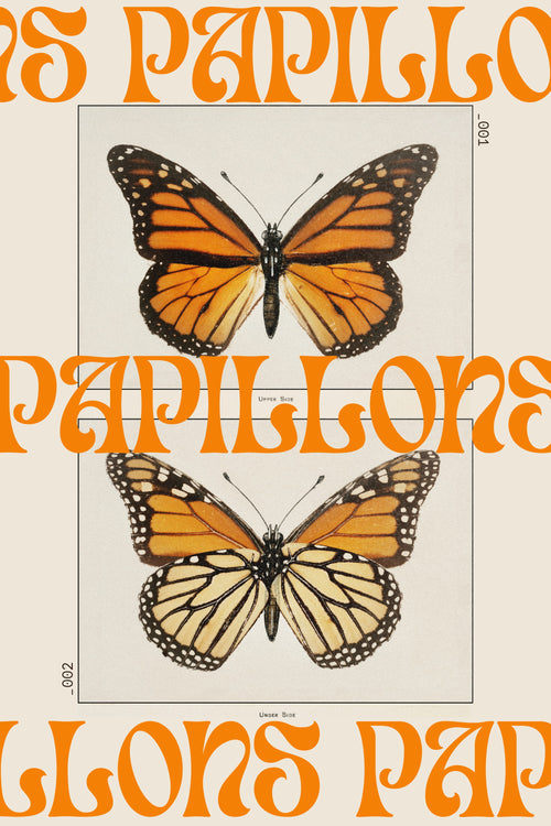 The Monarch, Both Sides, archival giclée art print