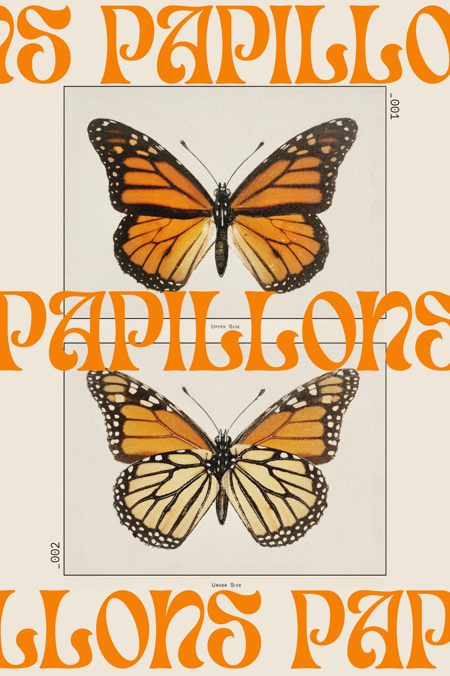 The Monarch, Both Sides