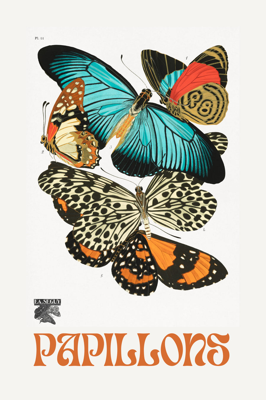Papillons, after Séguy