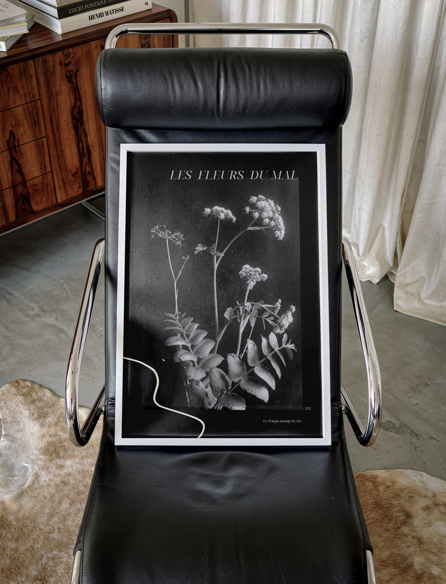Fleurs du mal 002