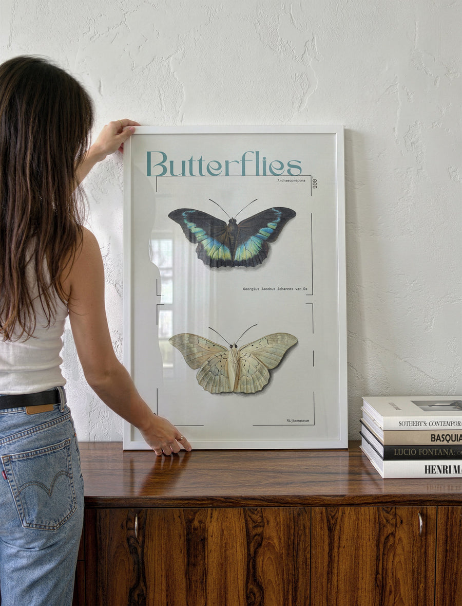 BUTTERFLIES_003