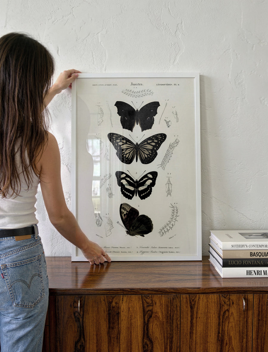 BUTTERFLIES_004