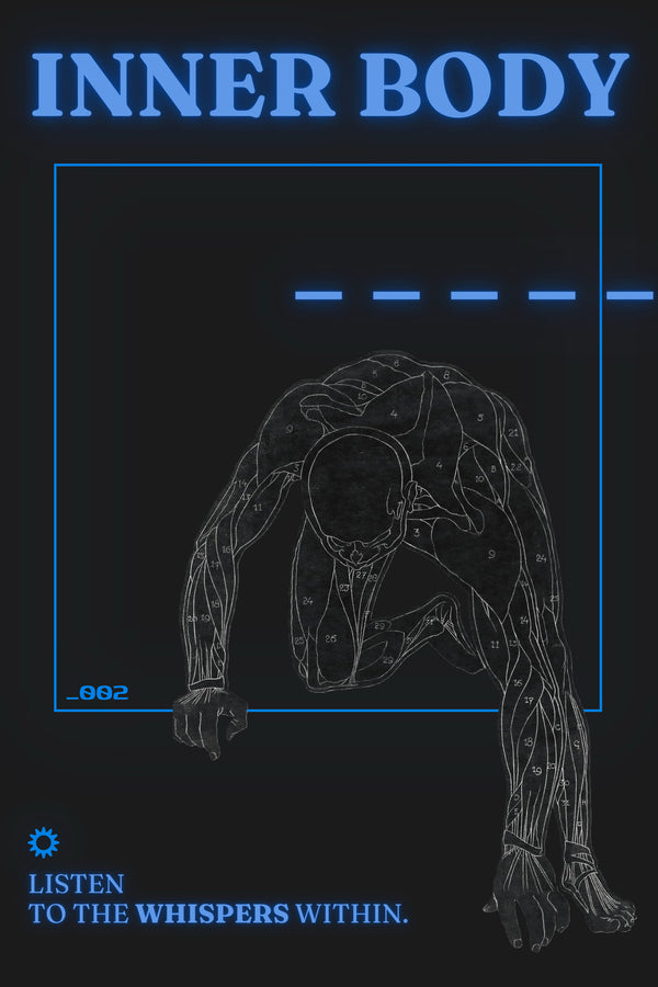 Inner Body, Night