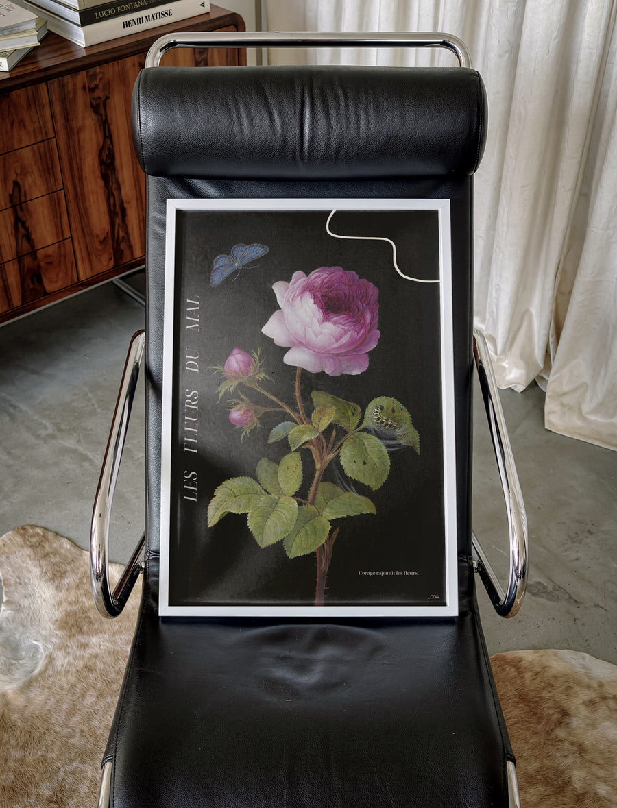 Fleurs du mal 004