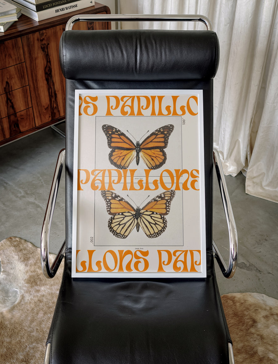 BUTTERFLIES_001