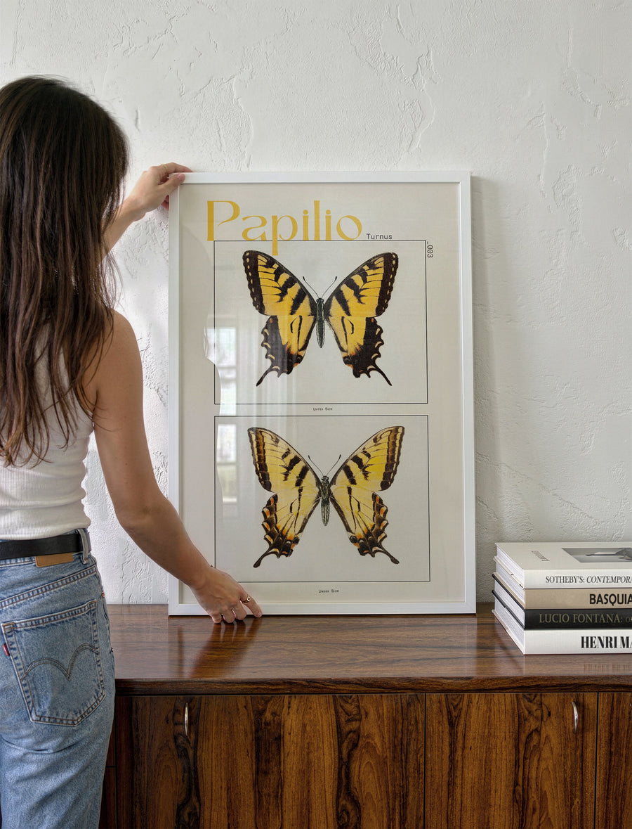 BUTTERFLIES_002