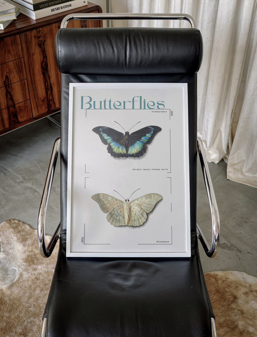 BUTTERFLIES_003