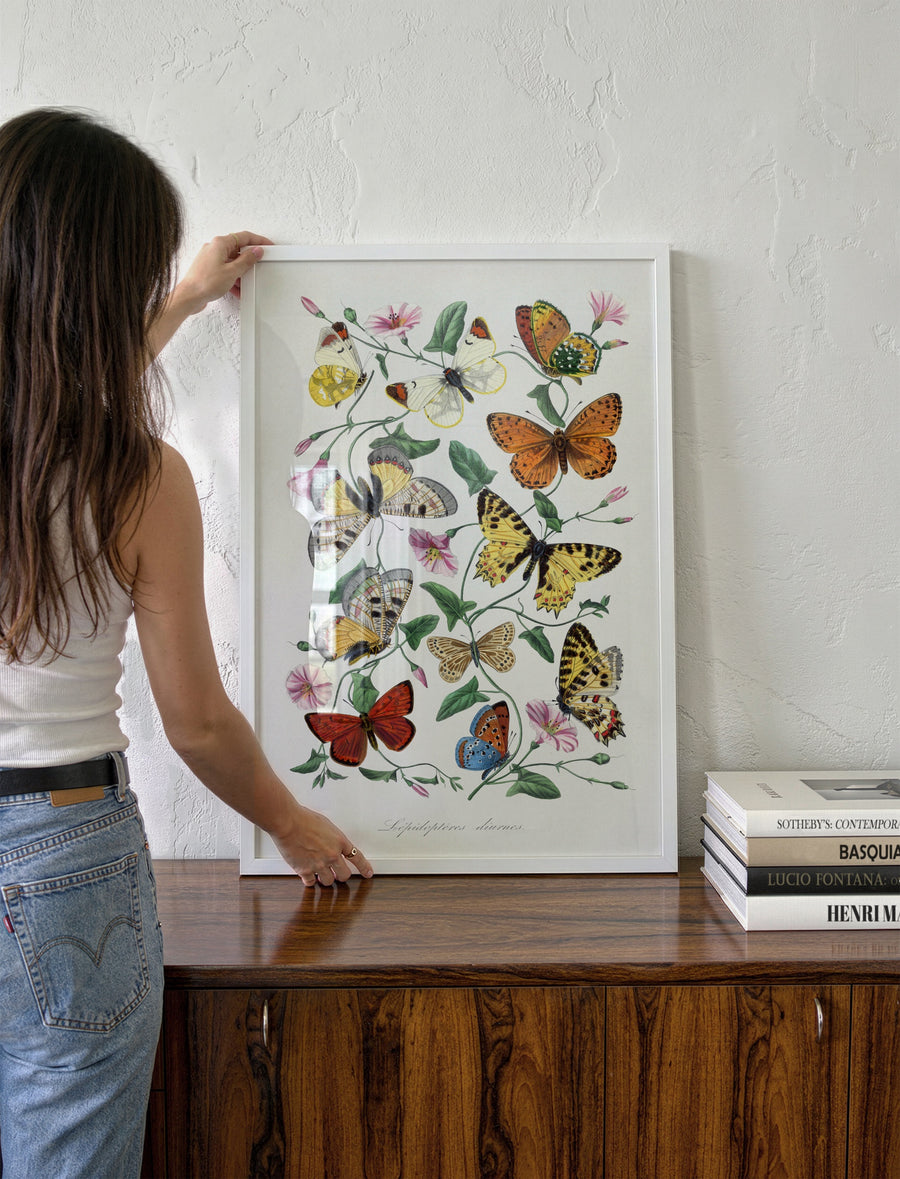 BUTTERFLIES_005