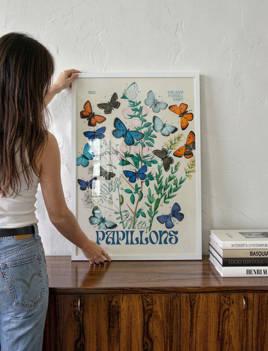 BUTTERFLIES_007