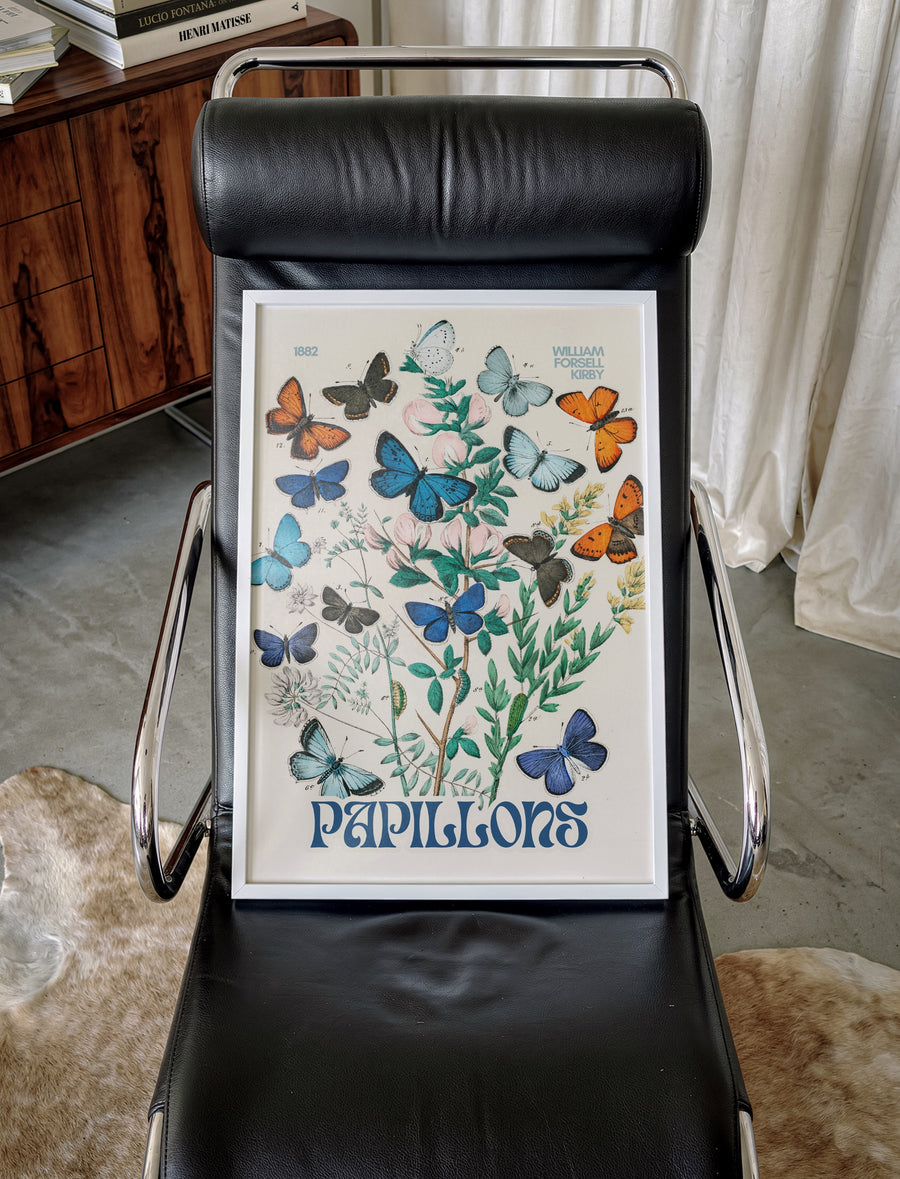 BUTTERFLIES_007